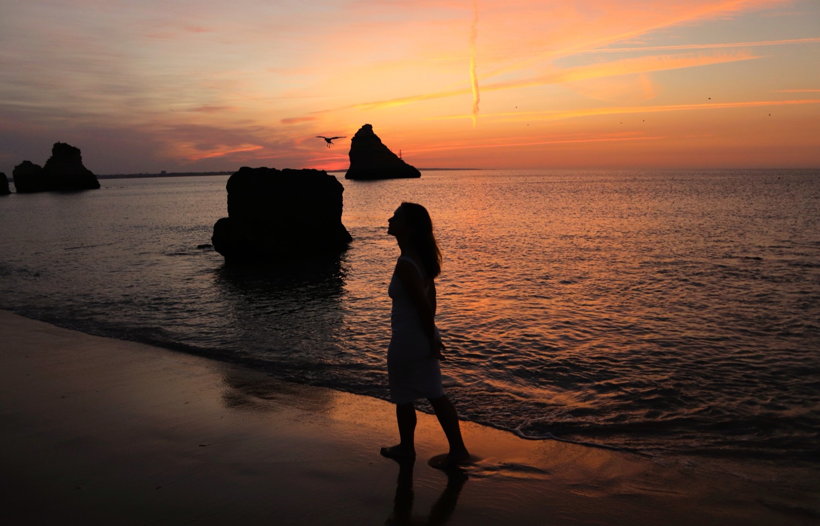 Photograph 6